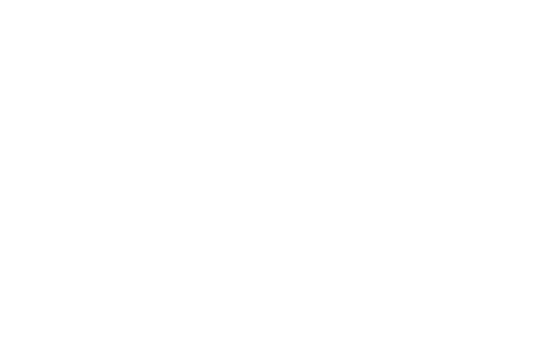 THZ Insurance Group